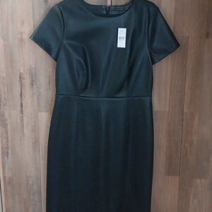 NWT Ann Taylor Faux Leather Dress
